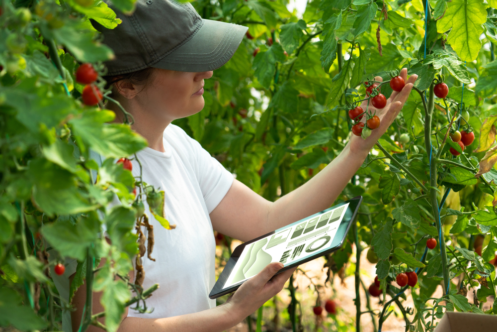 Smart agriculture