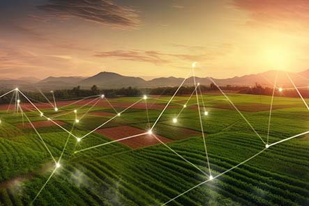 Smart Farm Network Connection Solution