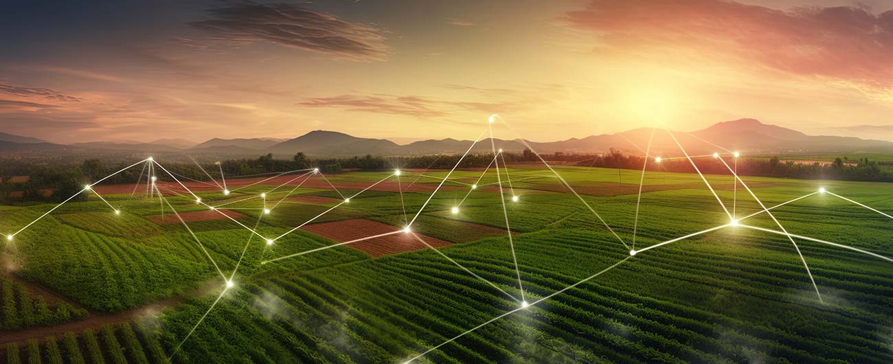 Unlocking Agricultural Innovation: Smart Farm Network Connection Solution